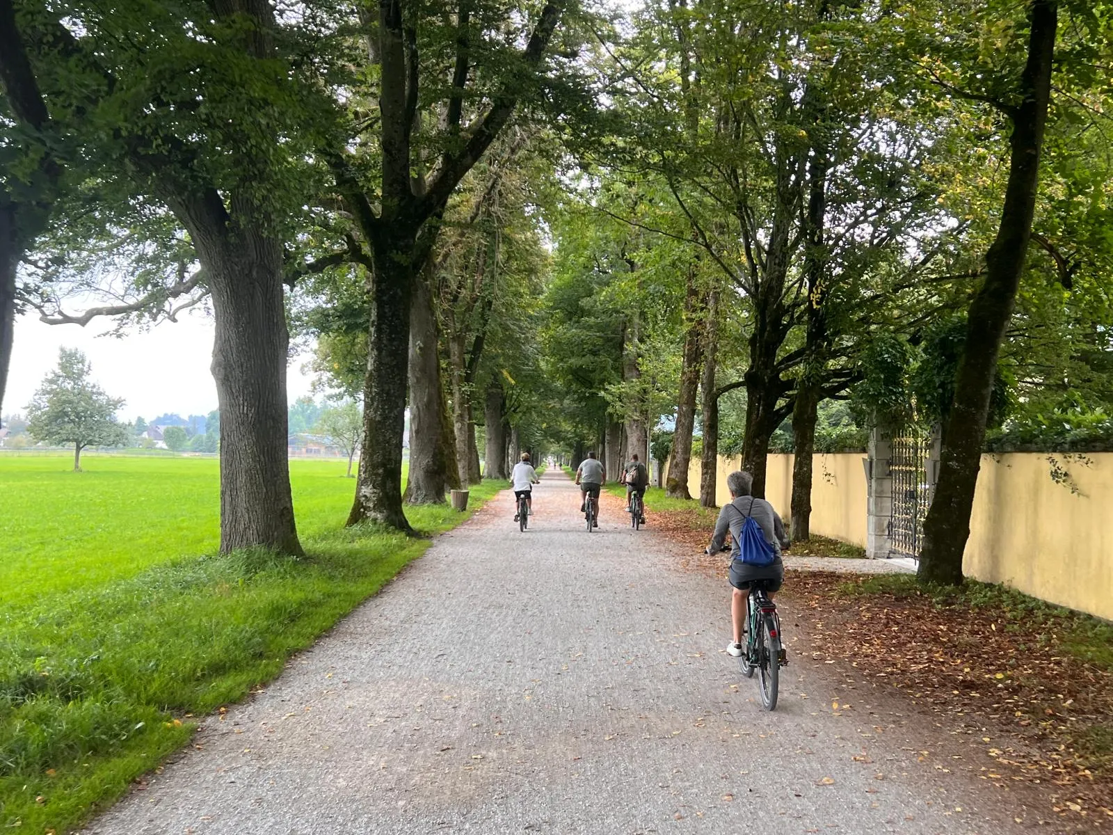 Riding through Hellbrunneralle on ebikes