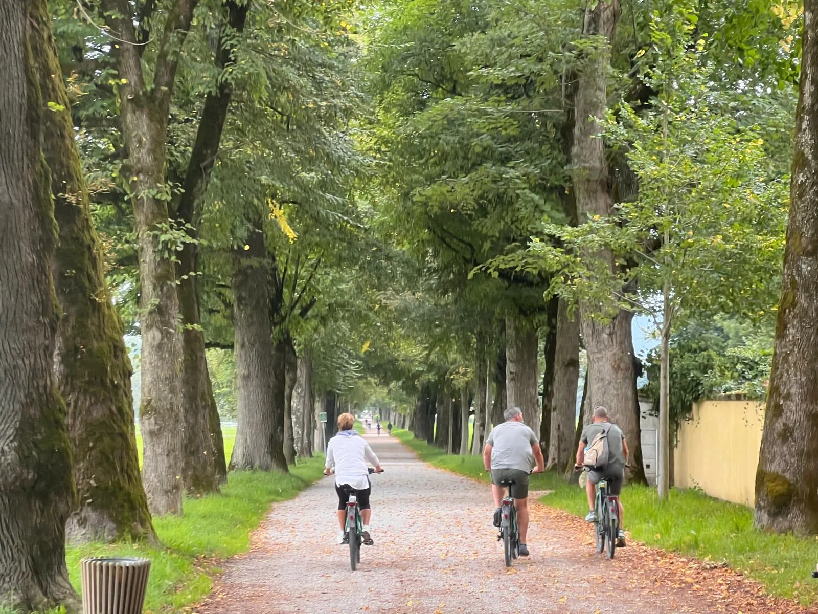 Hellbrunneralle Private ebike tour highlights of salzburg
